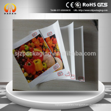 Eco-solvent &solvent Front Print Backlit PET Film